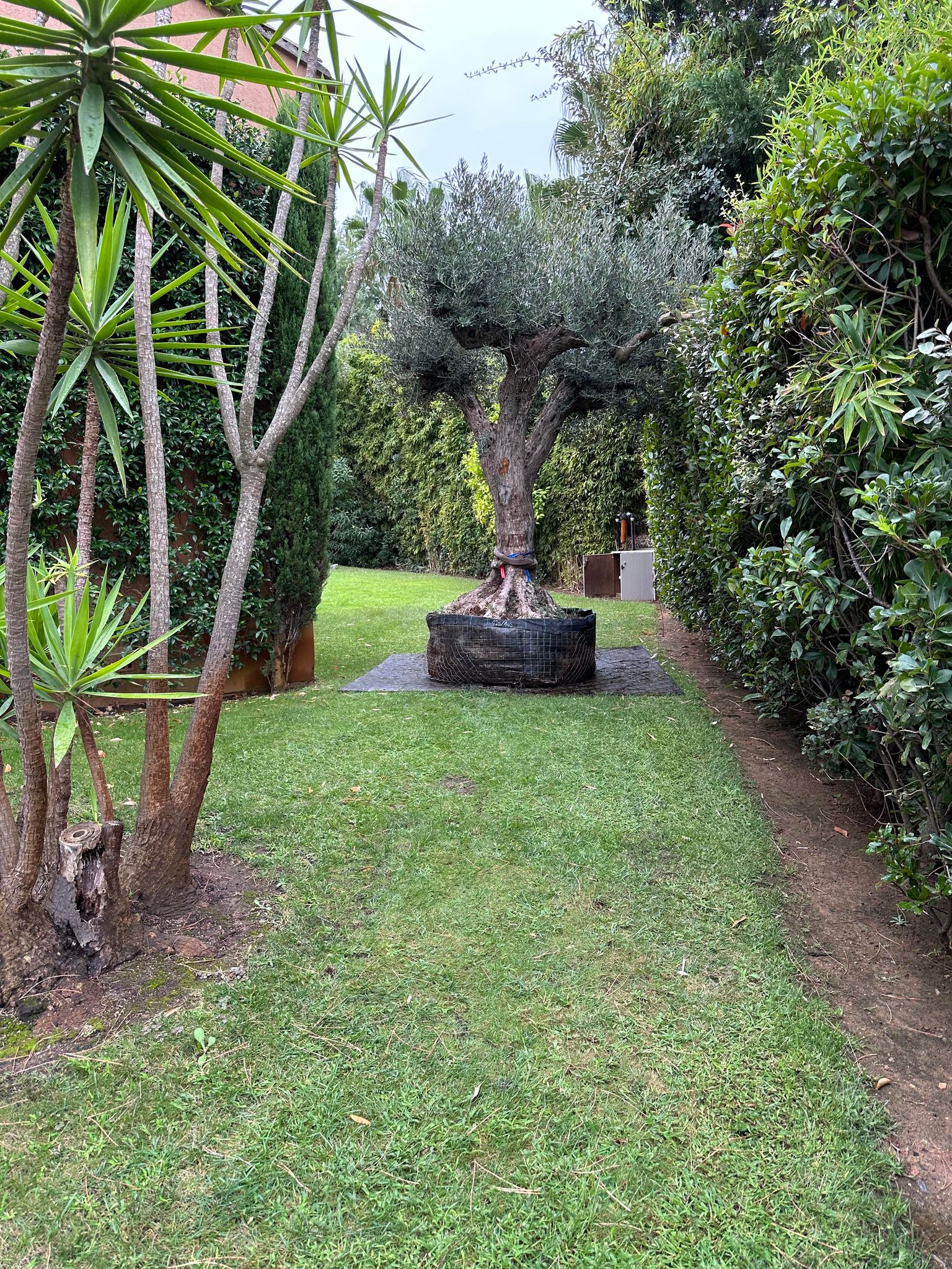 378240902_142597155594180_1038505995575011871_n