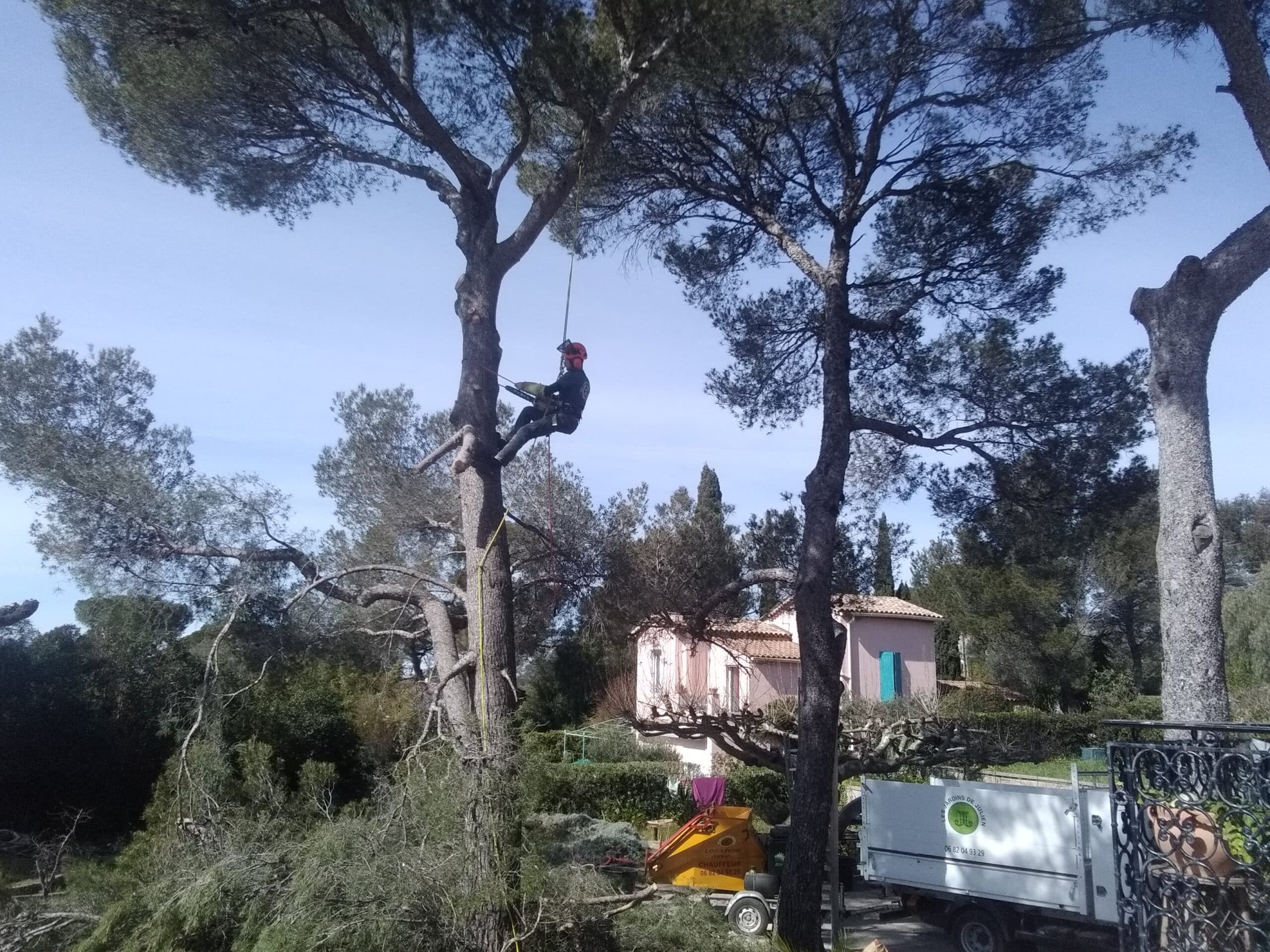 IMG_20200310_115131(1)